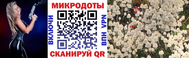 Галлюциногенные грибы мицелий  KRAKEN как зайти  Бийск 
